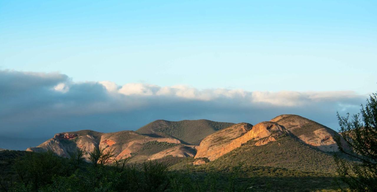 Thabile Lodge Oudtshoorn Exteriér fotografie