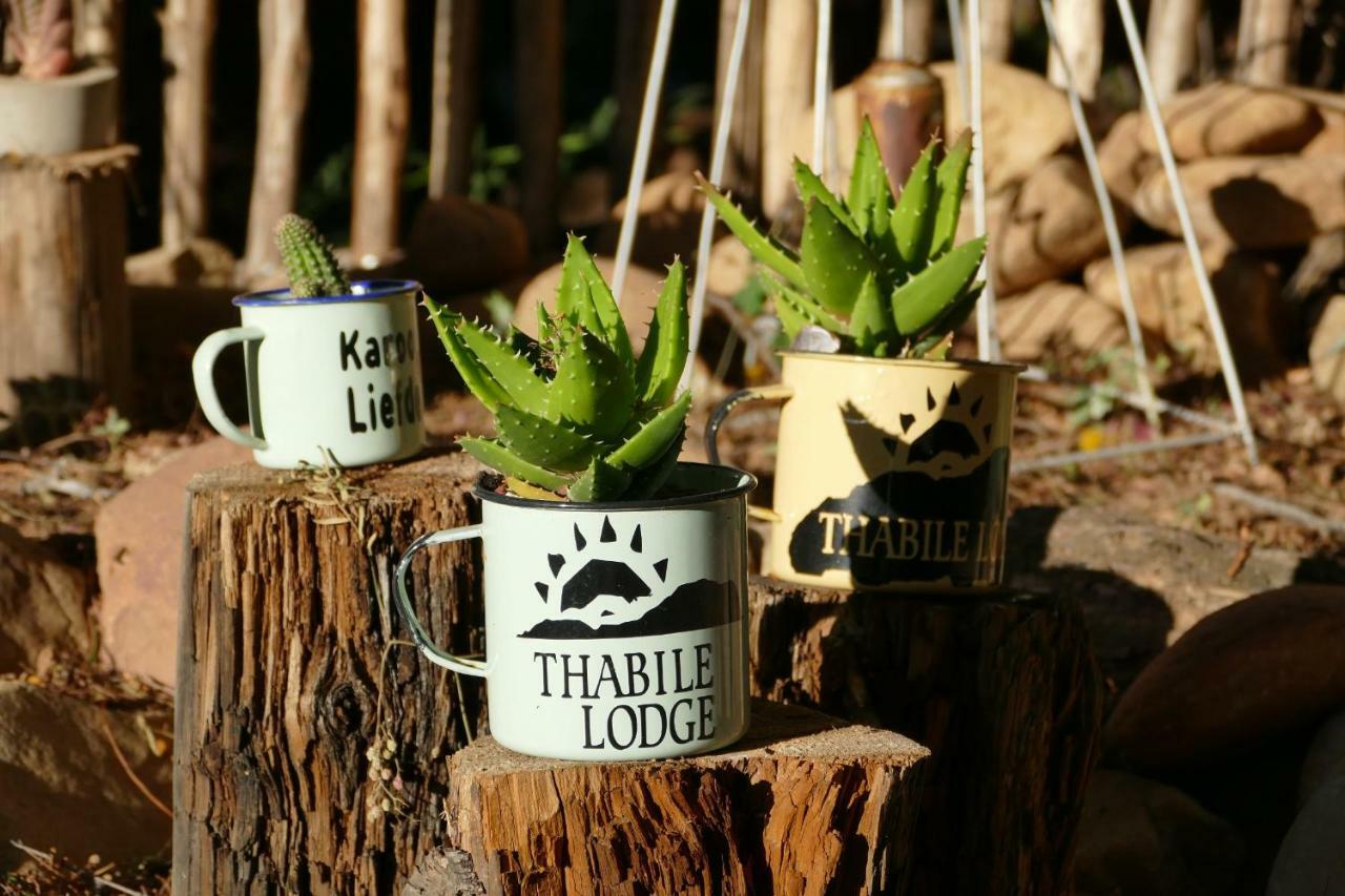 Thabile Lodge Oudtshoorn Exteriér fotografie