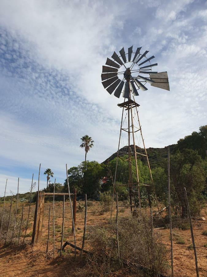 Thabile Lodge Oudtshoorn Exteriér fotografie