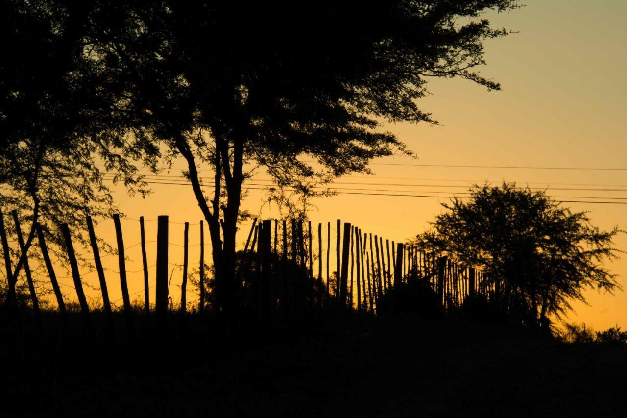 Thabile Lodge Oudtshoorn Exteriér fotografie